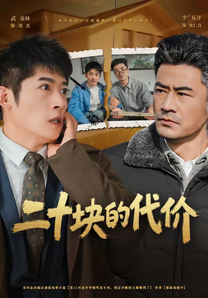 二十块的代价（64集）热播短剧来袭