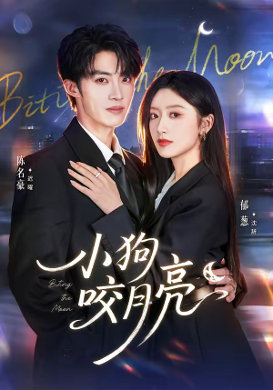 小狗咬月亮（66集）在哪个平台能看