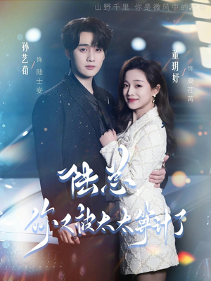 陆总，你又被太太算计了（70集）看过的人都说好