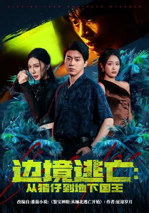 边境逃亡：从猪仔到地下国王（81集）在线观看全集