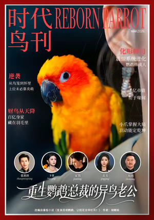 重生鹦鹉：总裁的异鸟老公（80集）经典老剧免费看