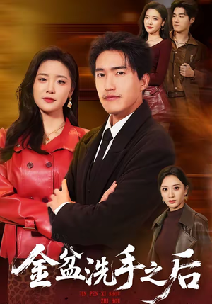 金盆洗手之后（62集）免费短剧资源