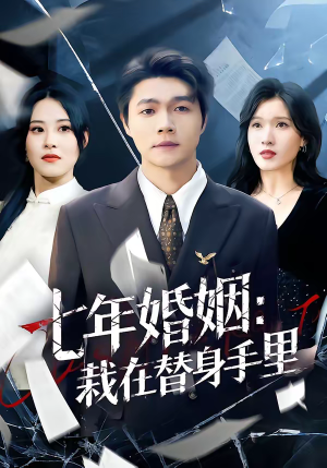 七年婚姻:栽在替身手里(80集) 七年婚姻:栽在替身手里(80集)短剧推荐更新中