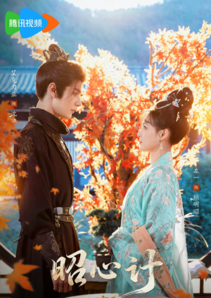 昭｜心计（59集）常回家看看短剧