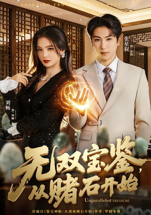 无双宝鉴，从赌石开始（70集）全集免费观看