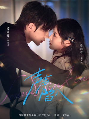 声声陷入（73集）短剧介绍