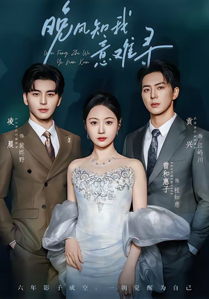 晚风知我意难寻（60集）短剧全集免费