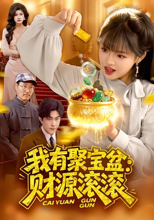 我有聚宝盆：财源滚滚（101集）红果短剧免费看