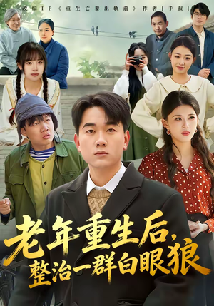老年重生后，整治一群白眼狼（82集）在线观看完整版