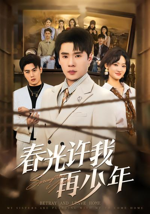 春光许我再少年（79集）在线看免费版