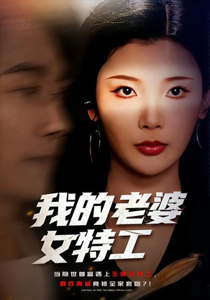 我的老婆女特工（62集）好看短剧推荐