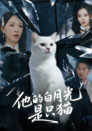 他的白月光是只猫（69集）短剧抢先看全集