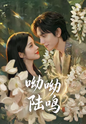 呦呦陆鸣（67集）短剧热门合集