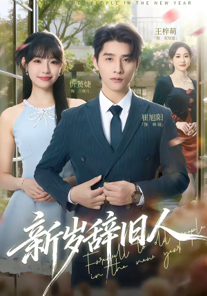 新岁辞旧人（76集）爆款短剧推荐