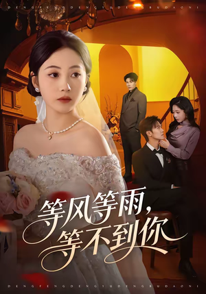等风等雨，等不到你（65集）一口气追完全集
