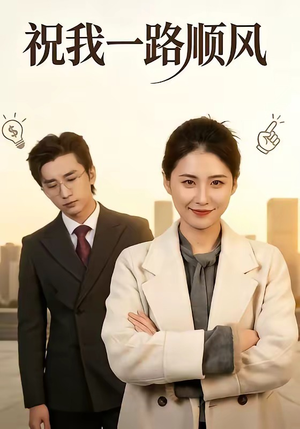祝我一路顺风（70集）百度网盘在线看