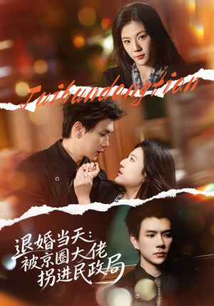 退婚当天：被京圈大佬拐进民政局（80集）好看的短剧电影