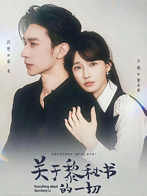 关于黎秘书的一切（60集）评价怎么样