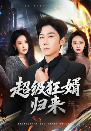 超级狂婿归来（81集）在哪个平台能看