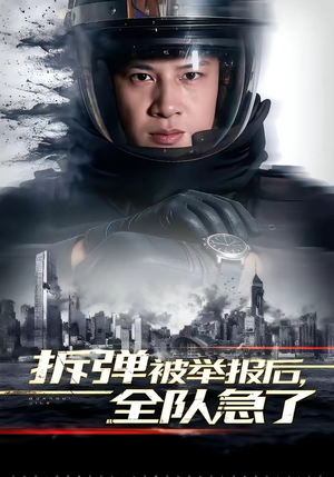 拆弹被举报后，全队急了（50集）真的太好看了