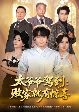 太爷爷驾到：败家就有惊喜（80集）在线免费观看