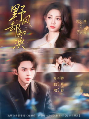 野风却知泱（80集）短剧追不停