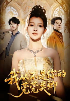 我从不是你的莞莞类卿（88集）全集下载