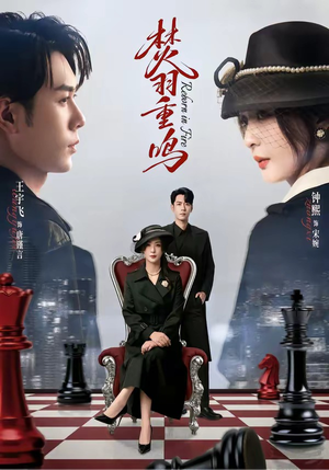 焚羽重鸣（60集）热播短剧分享