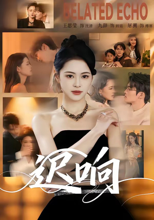 迟响（55集）一共多少集