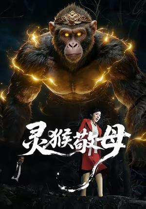 灵猴敬母（50集）一起追短剧