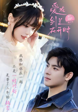 爱在剑兰花开时（56集）流畅播放免费看