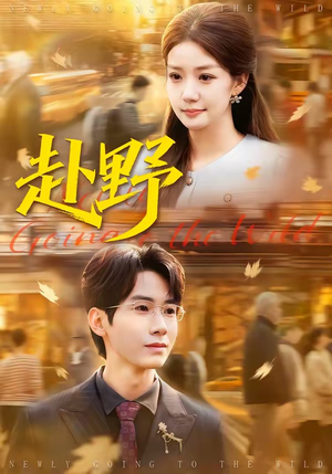 赴野（40集）一起追短剧