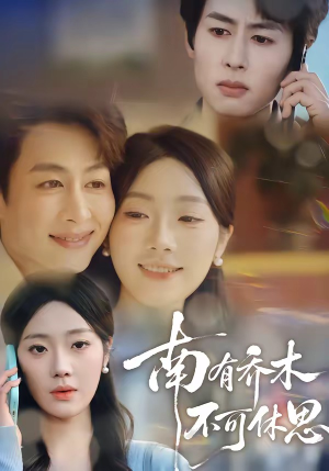 南有乔木，不可休思（68集）小短剧抢先看