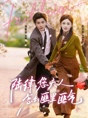 陆律，您夫人怎么匪里匪气（60集）每日短剧分享