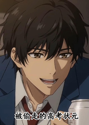 被偷走的高考状元（15集）在线播放