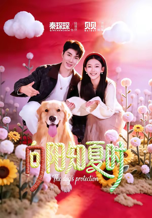 向阳知夏时（80集）短剧精彩绝伦