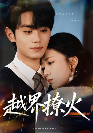 越界撩火（64集）全集我都看完了