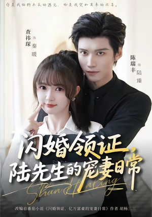 闪婚领证，陆先生的宠妻日常（86集）民国短剧推荐