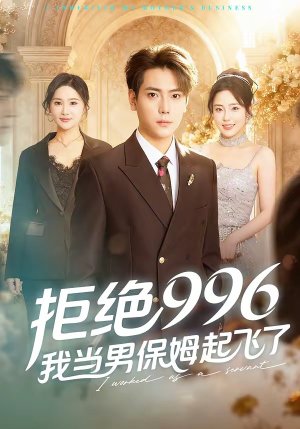 拒绝996，我当男保姆起飞了（70集）全集一次看完
