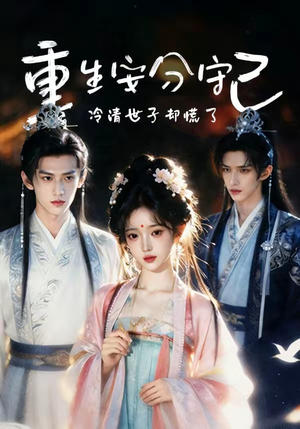 重生安分守己（13集）在线免费观看