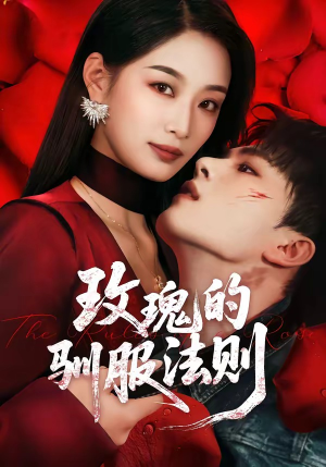 玫瑰的驯服法则（65集）演的怎么样