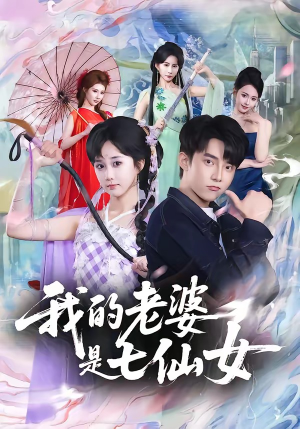 我的老婆是七仙女（57集）视频在线看