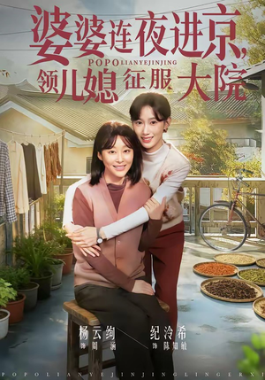 婆婆连夜进京，领儿媳征服大院（78集）悬疑短剧推荐