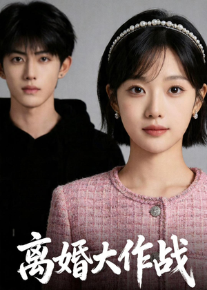离婚大作战（52集）第一季