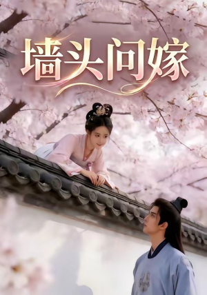 墙头问嫁（29集）超好看古装短剧