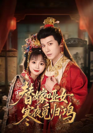 替嫁哑女寒夜觅归鸿（65集）全集