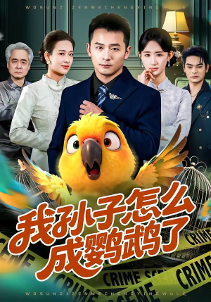 我孙子怎么成鹦鹉了（71集）好看短剧又来了