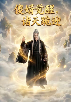 傻婿觉醒，诸天跪迎（80集）解说文案