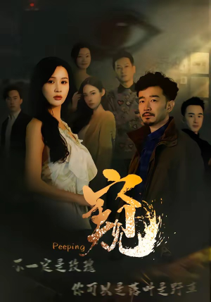 窥伺（37集）热门短剧分享