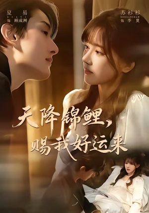 天降锦鲤，赐我好运来（60集）短剧追到爽